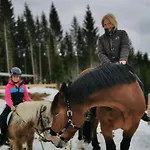 Schell-hütte Campingplatz *