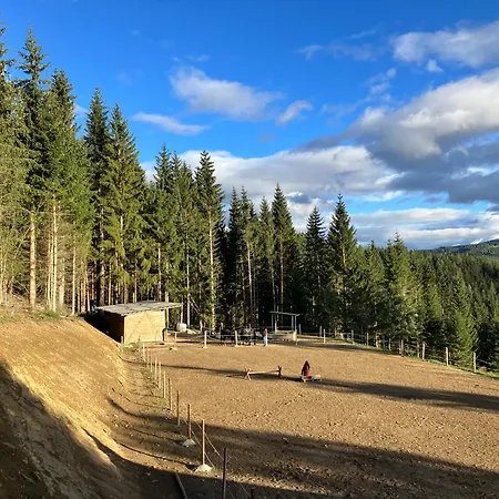 Campingplads Schell-huette Preitenegg