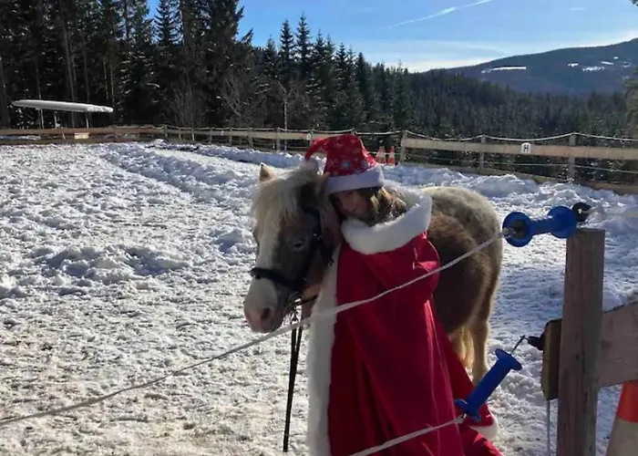 Schell-huette Kemping *