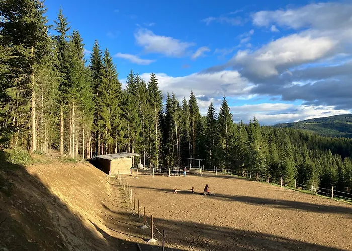 Kemping Schell-huette Preitenegg