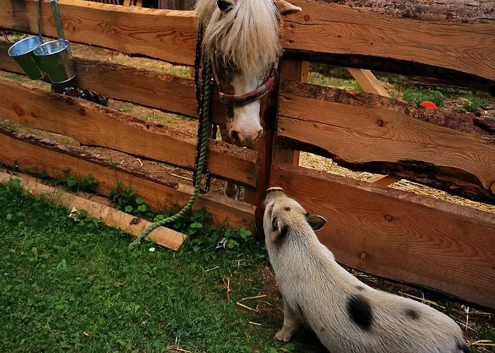 Schell-huette Kemping *