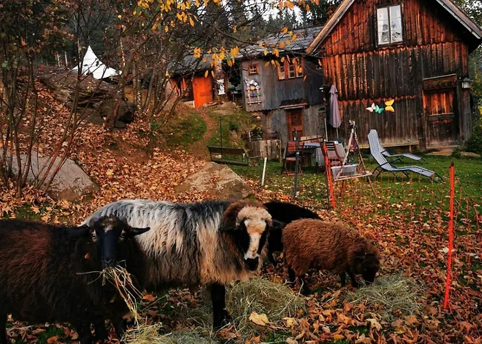 Kemping Schell-huette