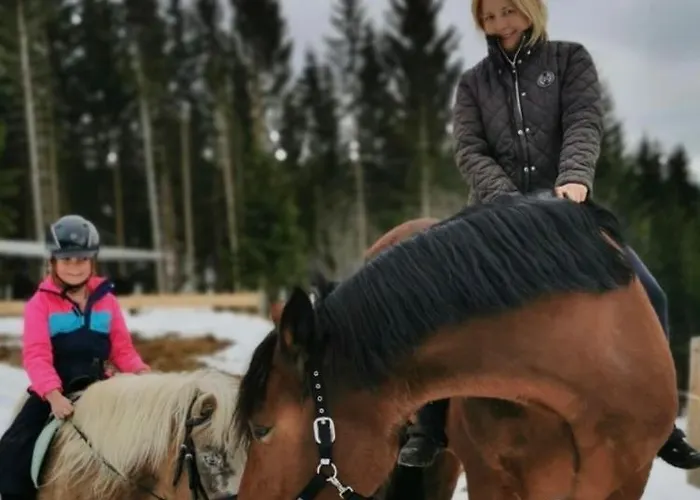 Schell-huette Kemping *