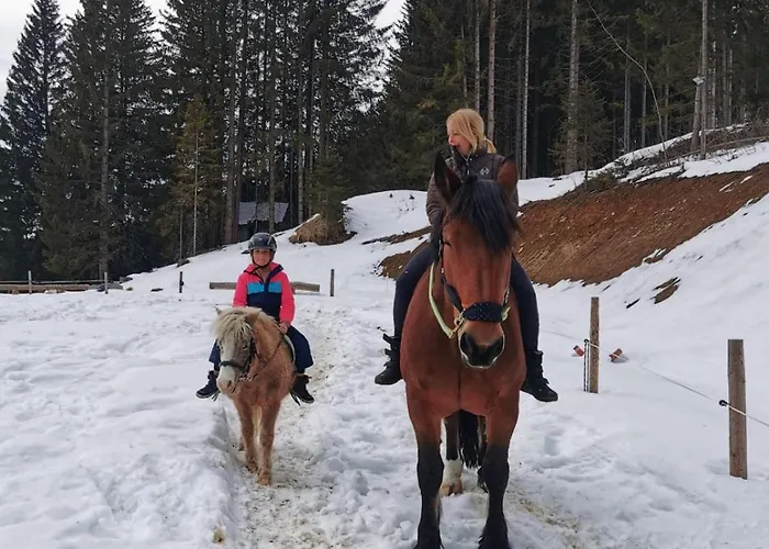 Schell-huette Preitenegg